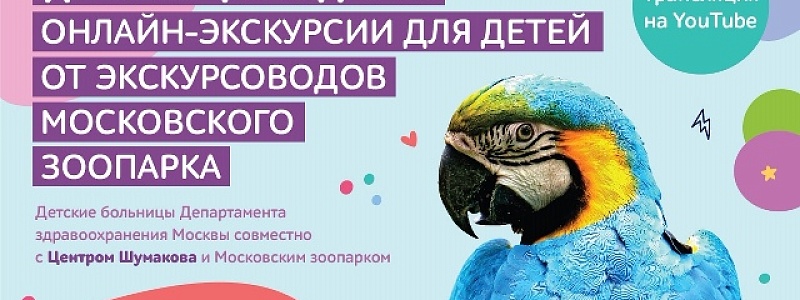В День защиты детей экскурсоводы Московского зоопарка проведут онлайн-экскурсии для детей, которые вынуждены лежать в больнице или находятся на лечении дома