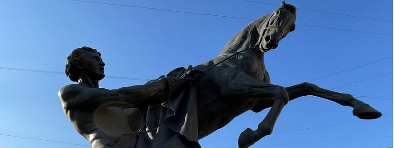 Школа НИИ НДХиТ в Санкт-Петербурге